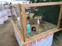 IMG_20181117_123415524